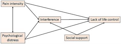 Pain intensity and psychological distress show different associations with interference and lack of life control: A clinical registry-based cohort study of >40,000 chronic pain patients from SQRP
